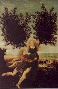 Antonio Pollaiuolo Apollo and Daphne china oil painting reproduction